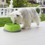 OH Bowl by LickiMat - Oral Health Food Bowl for Dogs: Green - Small