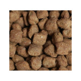 Vetalogica Canine Omegaderm chews for dogs, 120 count, promoting healthy skin and coat.