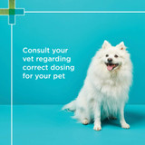 PAW by Blackmores Hepatoadvanced pour les chiens moyens et grands de plus de 15 kg - 30 comprimés
