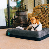 Zee.Dog Memory Foam Orthopaedic Dog Bed with Removable Cover - Image 5 of 5
