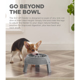 Outward Hound 3-in-1 Up Height Adjustable Dog Bowl - Grey