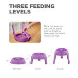 Outward Hound 3-in-1 Up Height Adjustable Dog Bowl - Purple