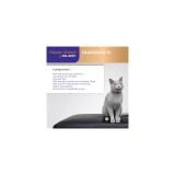 Feliway Happy Snack calming treats for cats, 6 pack, with milk and natural ingredients for stress relief.