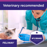 Feliway Spray 60mL - Vet recommended solution for calming cats and reducing stress.