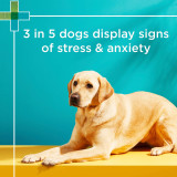 PAW by Blackmores Complete Calm Chews for Dogs - 300g for reducing stress and anxiety in dogs.