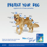 NexGard Spectra Chewables For Medium Dogs 7.6-15kg - Green