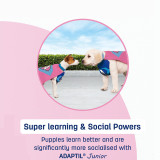 ADAPTIL Junior Calming Collar for Puppies promoting social skills and learning in young dogs.