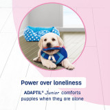 ADAPTIL Junior Calming Collar comforts puppies, reducing anxiety and loneliness when home alone.
