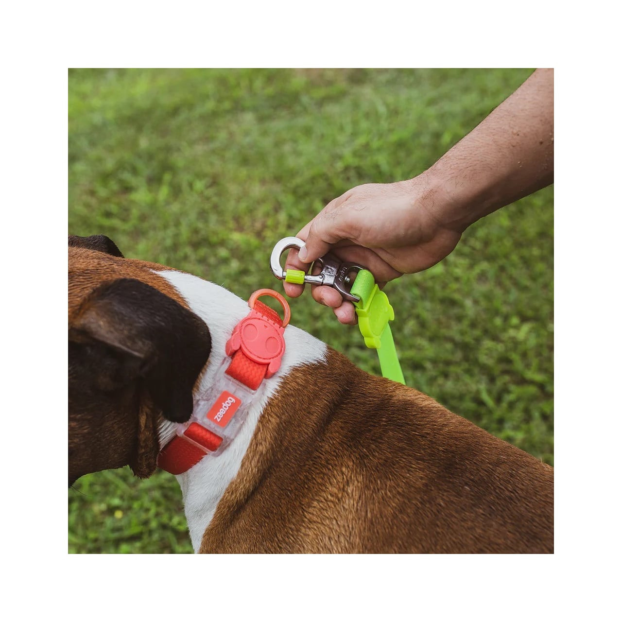 Zee.Dog Neopro Red Collar