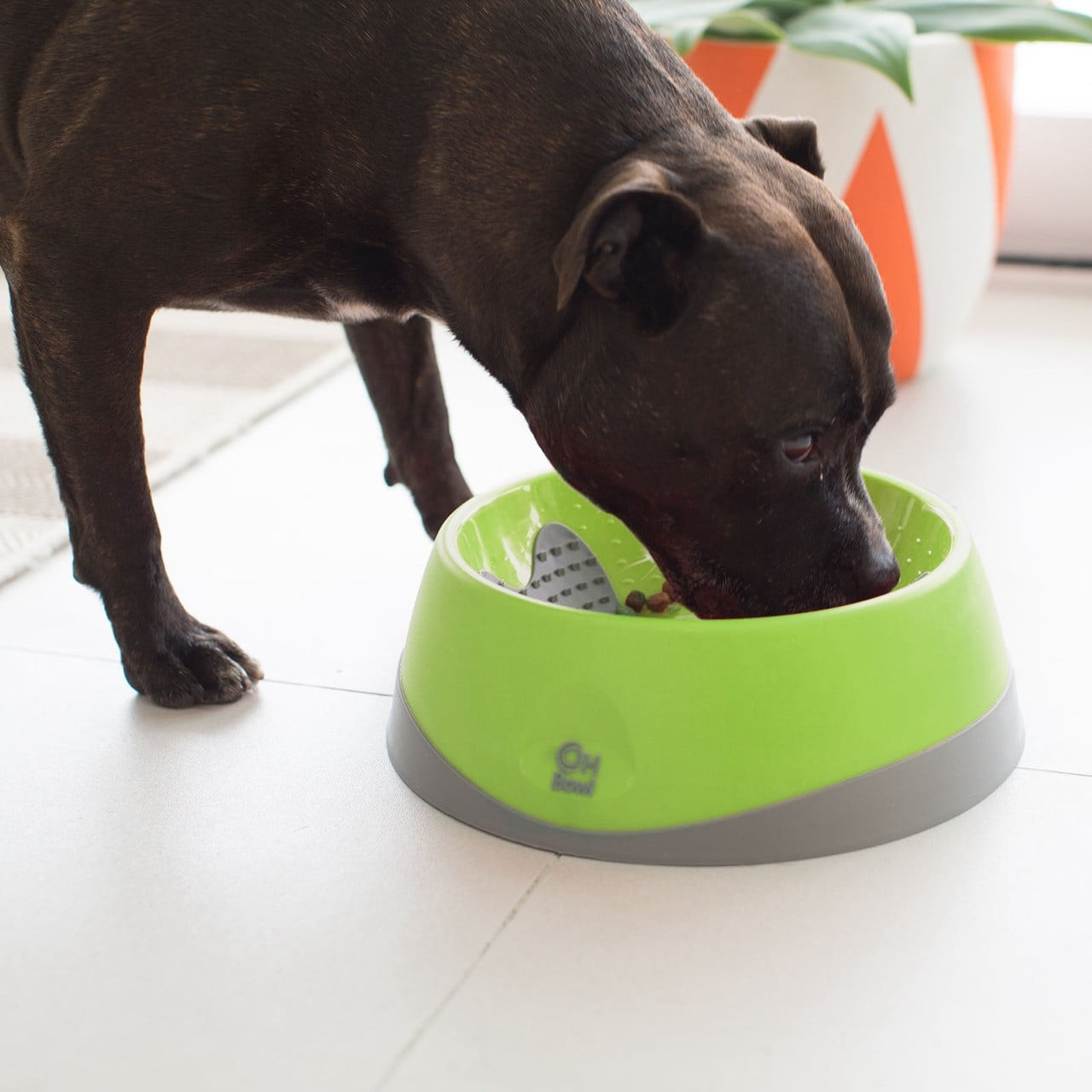 LickiMat Oh Bowl Green: Large oral hygiene dog bowl for interactive feeding and dental care.