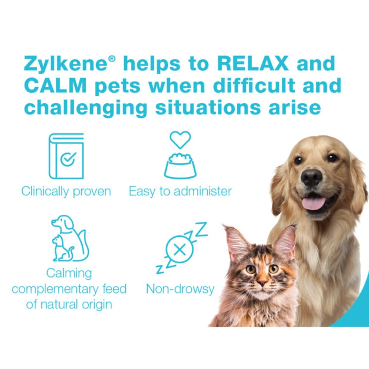 Zylkene Calming Chews For Medium Dogs 10-30kg - Image 6 of 7