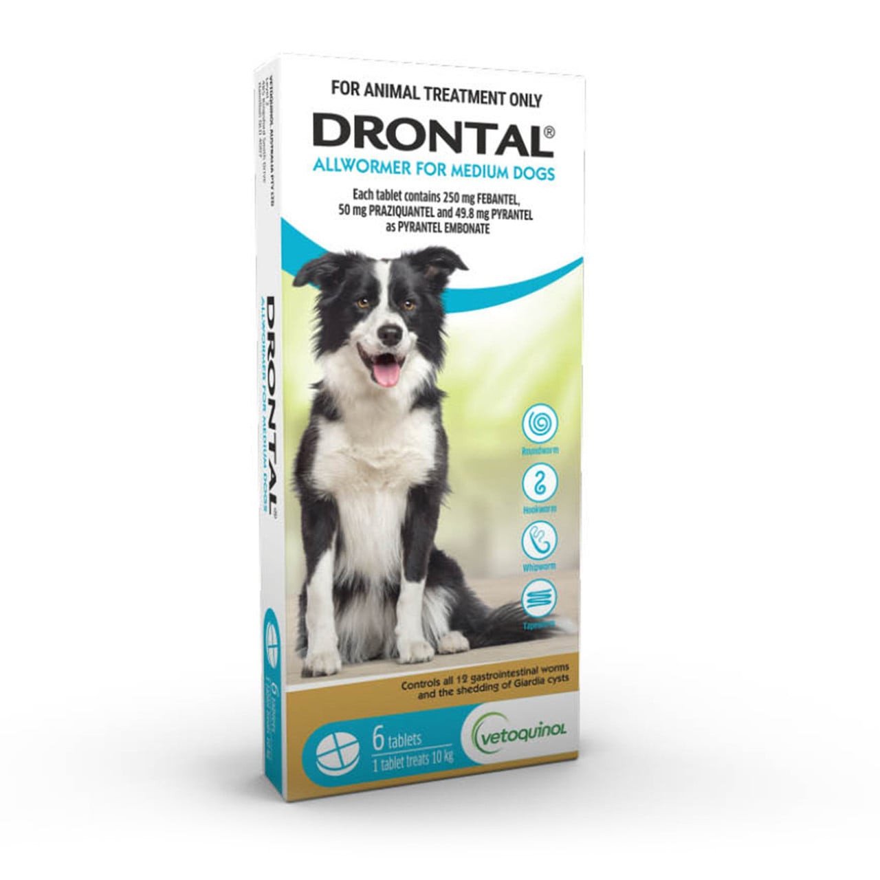 Drontal Allwormer Tablets for Medium Dogs up to 10 kg - 6 Pack, effective worm treatment for pets.