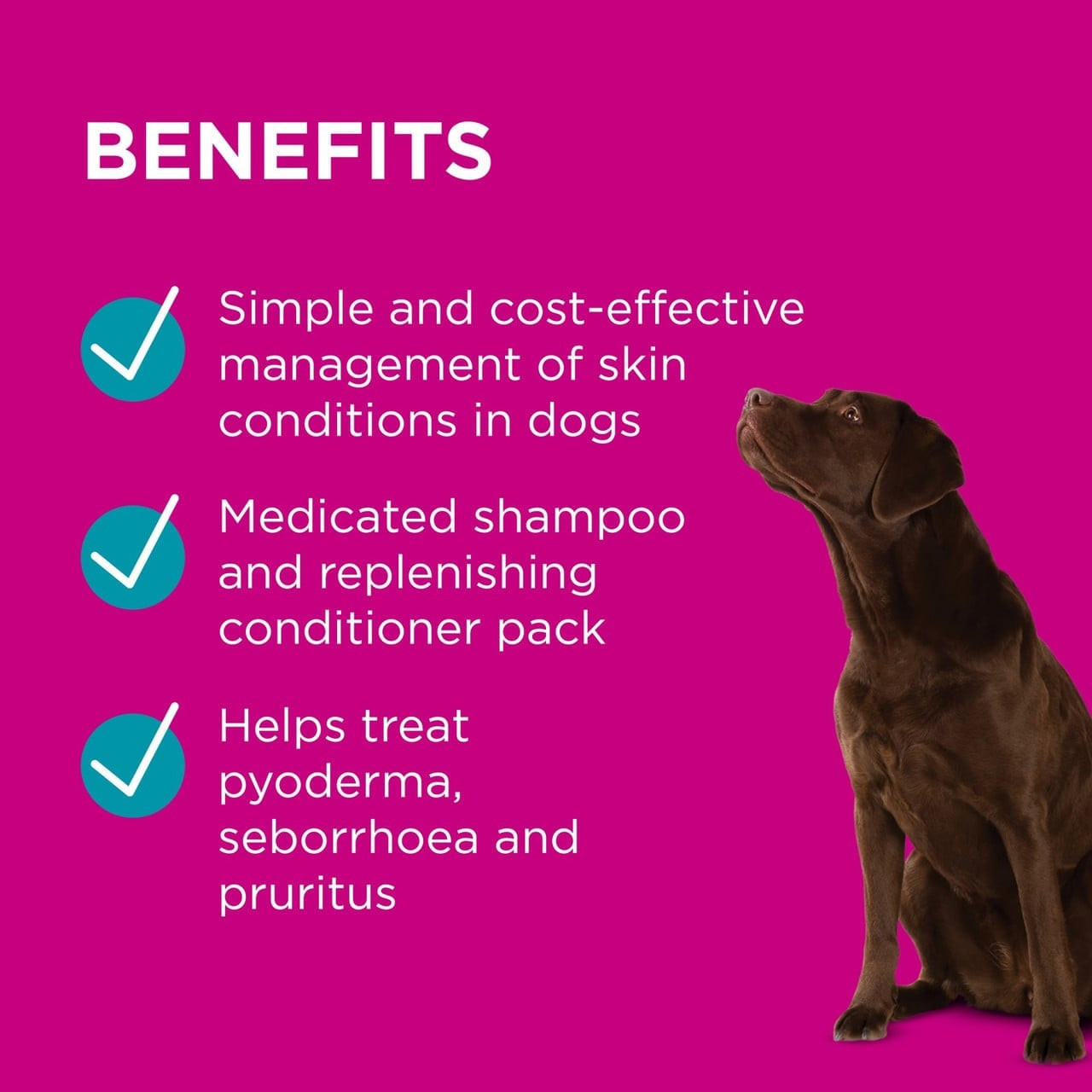 PAW By Blackmores Mediderm And Nutriderm Duo Pack For Dogs 200ml - Image 4 of 8