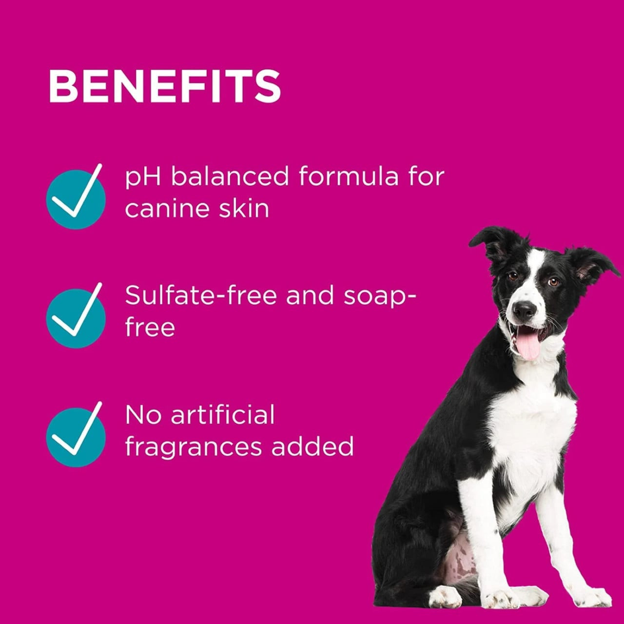 PAW by Blackmores Lavender - Calming Grooming Mist 200mL - Image 5 of 10