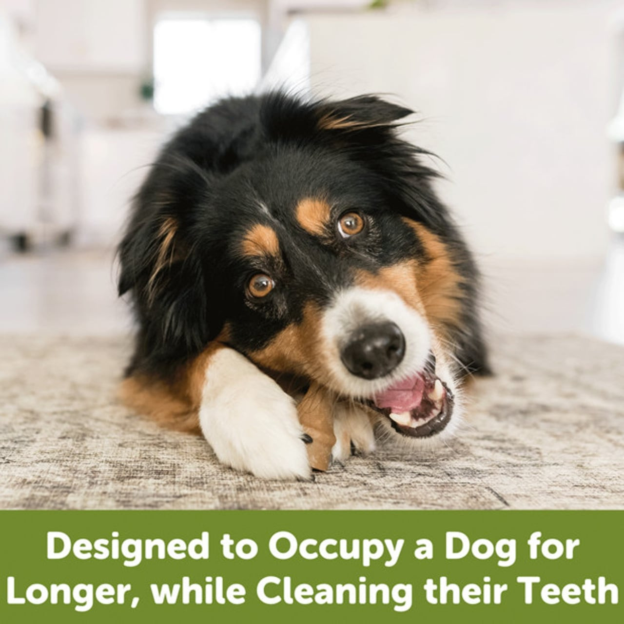 Whimzees Occupy Antler Medium Dog Treats 12 Pack - Image 5 of 5