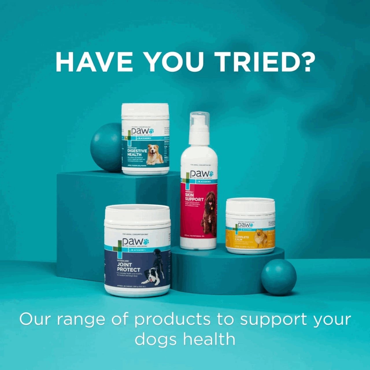 PAW By Blackmores Mediderm Gentle Medicated Shampoo For Dogs 200ml - Image 4 of 9