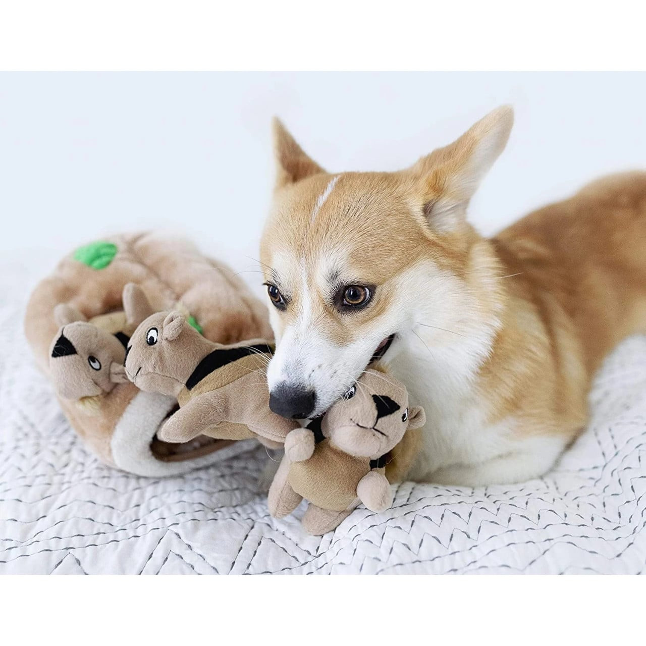 Outward Hound Hide A Squirrel Plush Puzzle Toy | 4 Sizes Available - Image 8 of 25