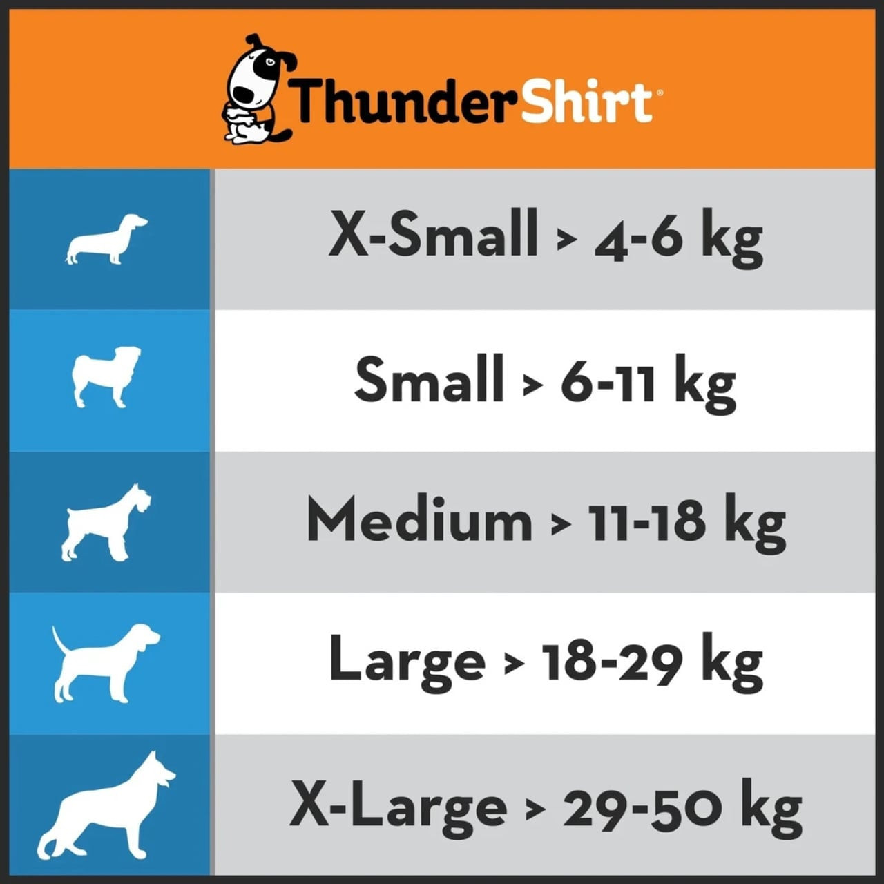 ThunderShirt: The Ultimate Solution for Anxious Dogs - Image 2 of 8
