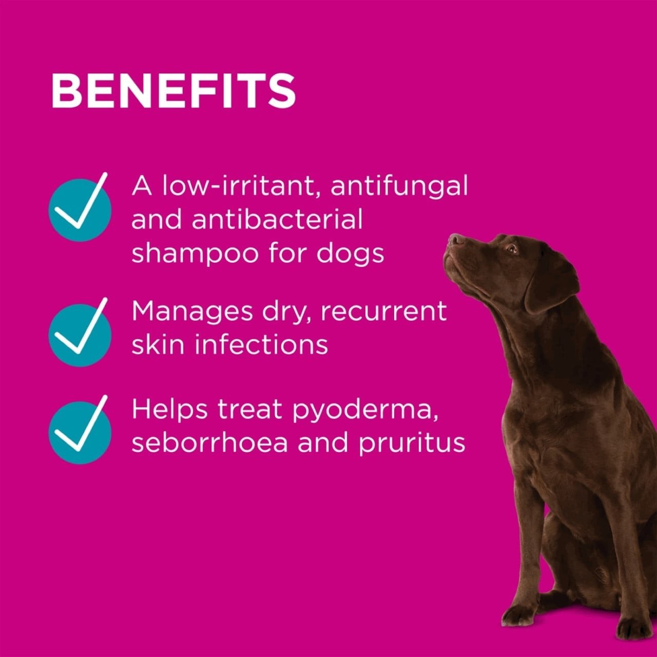 PAW By Blackmores Mediderm Gentle Medicated Shampoo For Dogs 500ml - Image 3 of 9