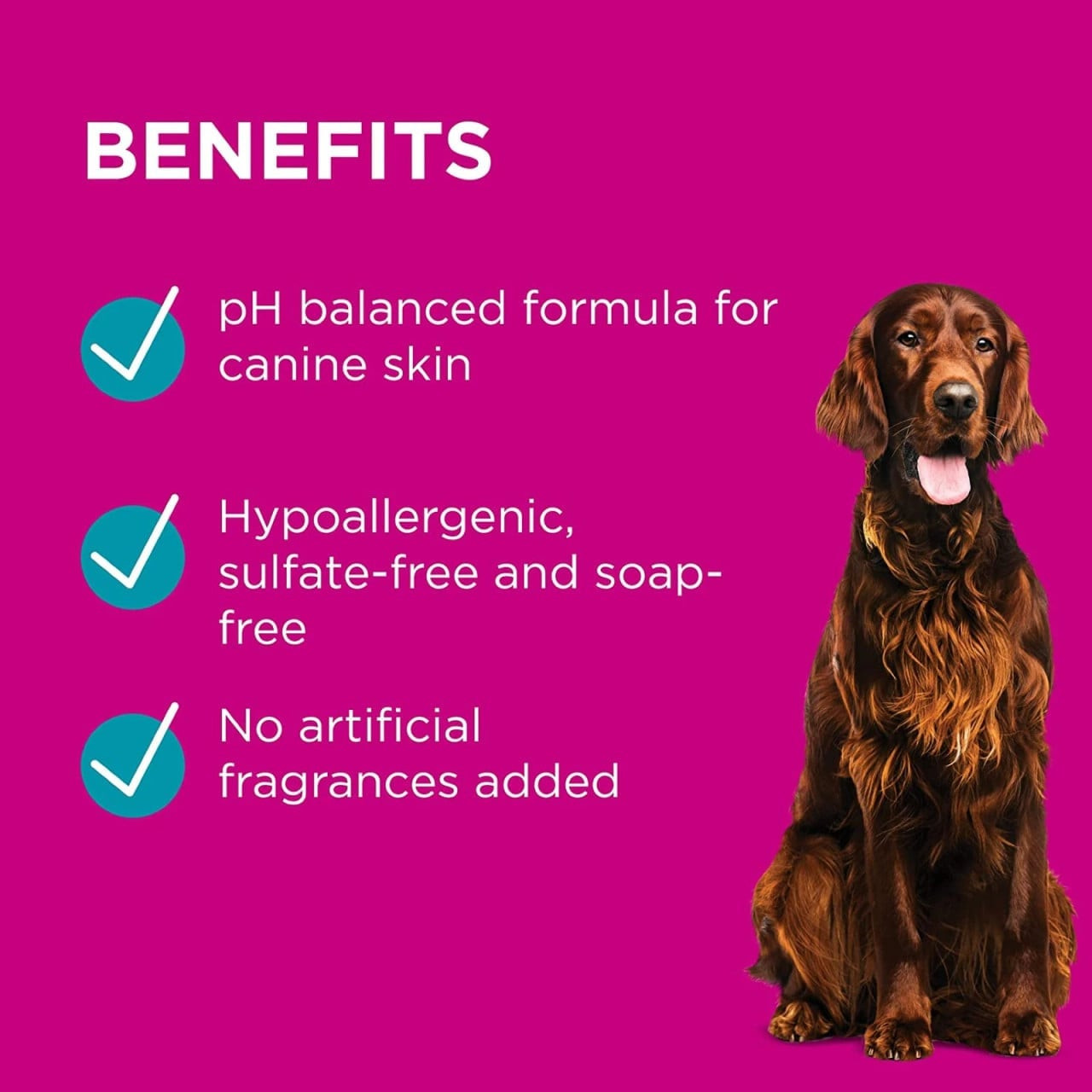 PAW by Blackmores Sensitive Skin Conditioner for Dogs 500ml - Image 3 of 9