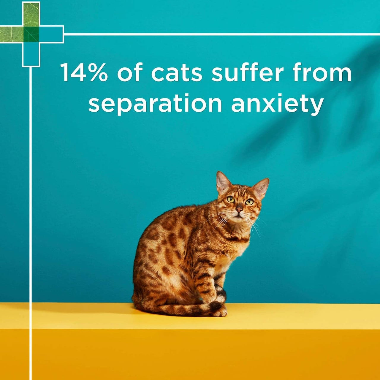 PAW By Blackmores Complete Calm Multivitamin & Tryptophan Chews For Cats 75g - Image 7 of 8