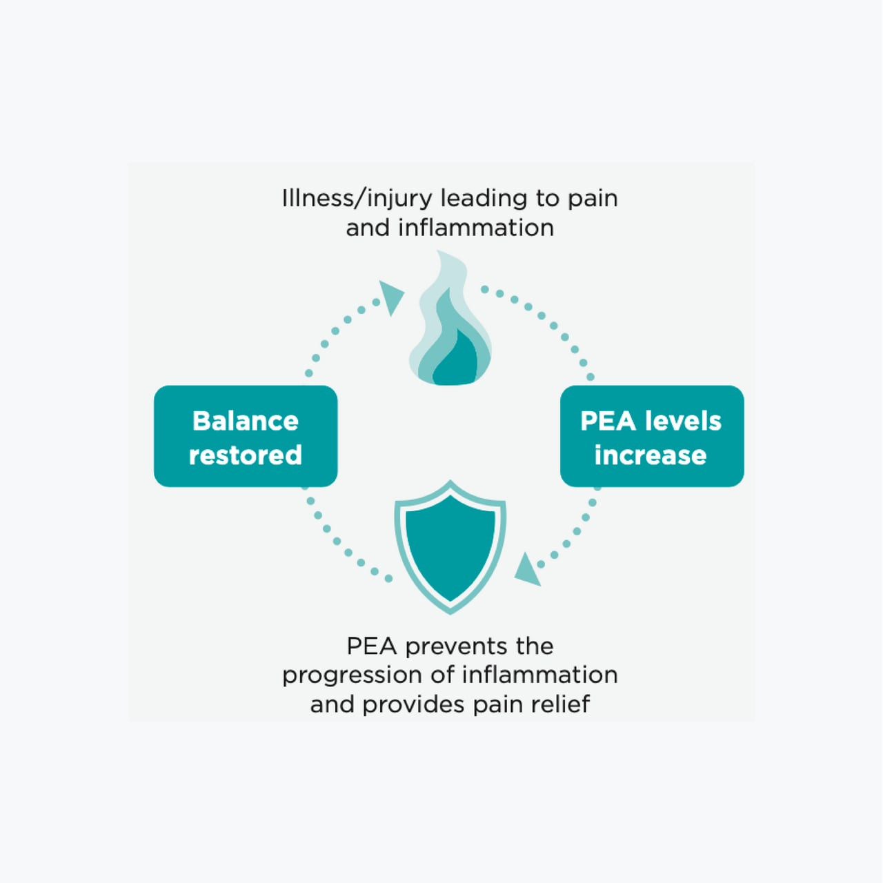 PAW PurePEA+ Omega for Dogs & Cats - 90 capsules for pain relief and inflammation management.