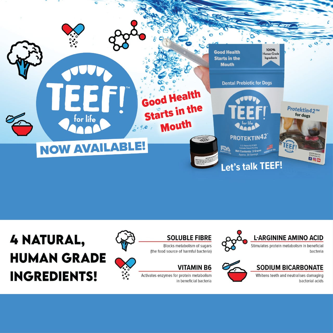 TEEF! Protektin42 dental water additive for dogs promotes oral health with natural ingredients.