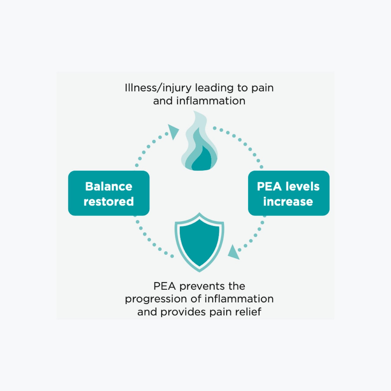 PAW PurePEA+ Omega for Dogs & Cats - 90 capsules for pain relief and inflammation management.