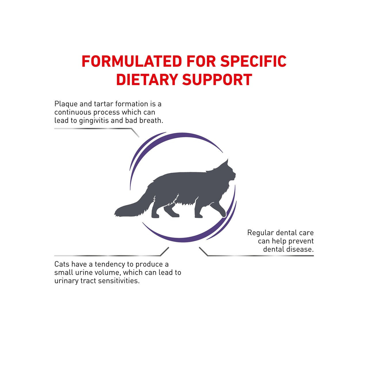 Royal Canin Veterinary Diet Feline Dental S/O Dry 1.5kg for dental health and urinary support in cats.