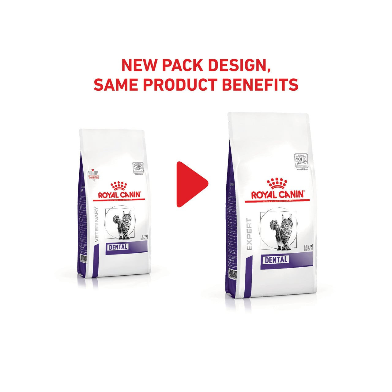 Royal Canin Veterinary Diet Feline Dental S/O Dry 3kg for improved dental health in cats. New packaging, same benefits.