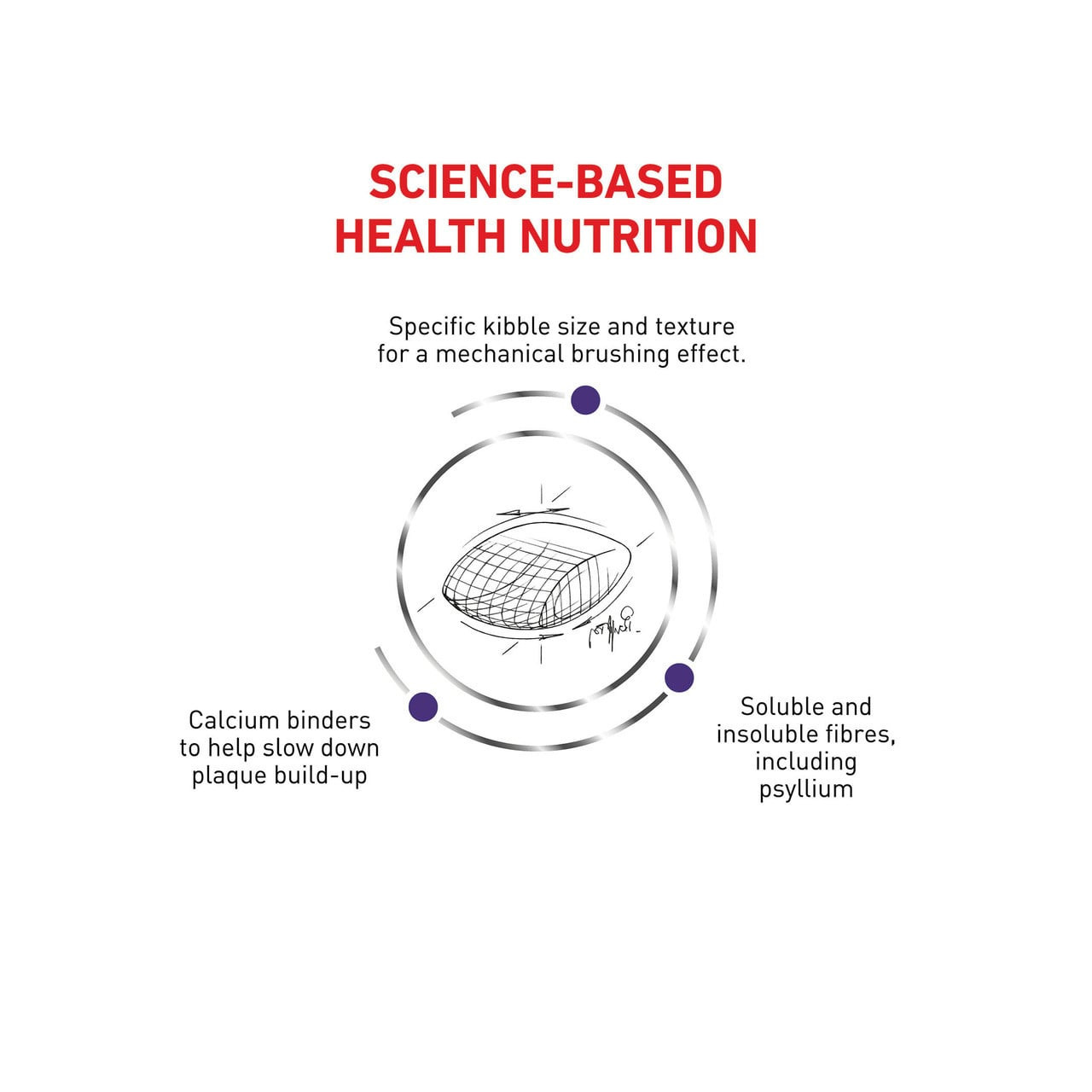 Royal Canin Veterinary Diet Feline Dental S/O Dry 3kg for dental health and plaque control in cats.