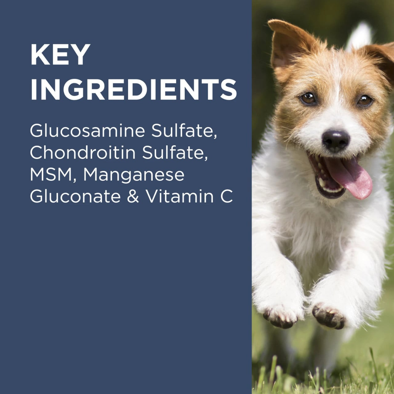 PAW By Blackmores Osteocare Joint Protect Chews for Medium & Large Dogs - 500g