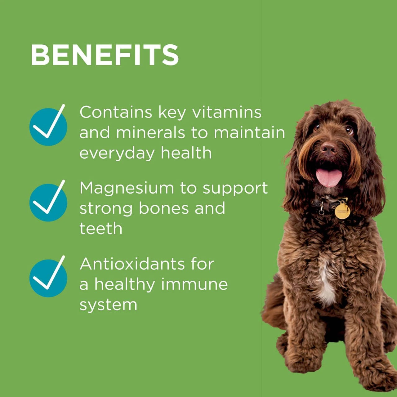 PAW by Blackmores Wellness and Vitality Chews - 300g for pet health, strong bones, and immune support.