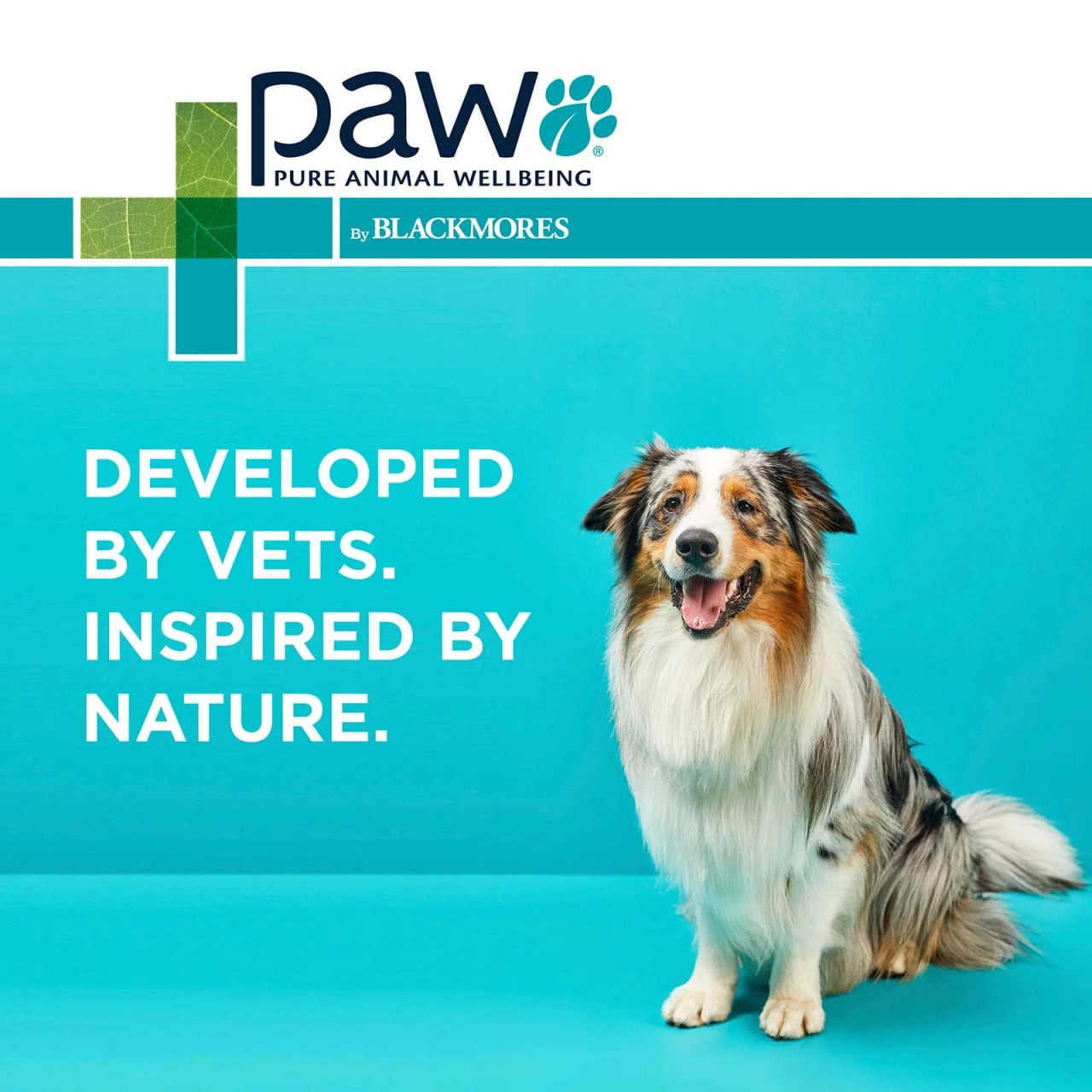 PAW by Blackmores Wellness and Vitality Chews for pets, 300g - vet-developed, nature-inspired health supplement.