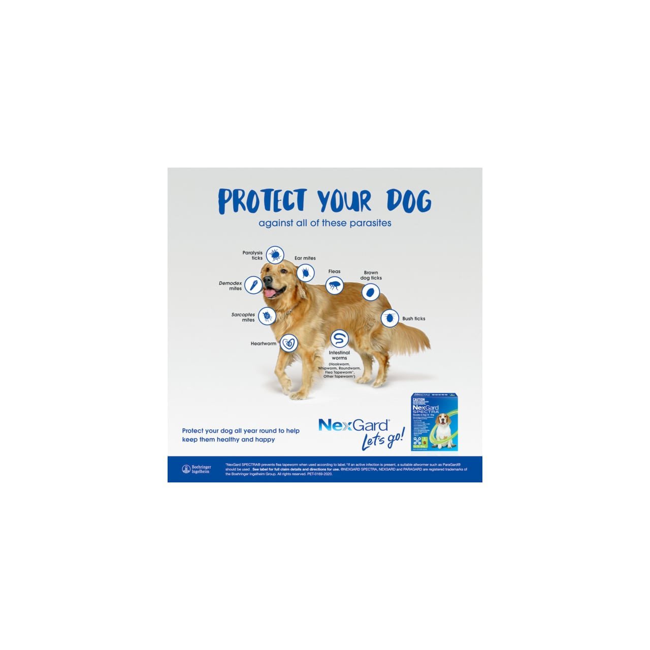 NexGard Spectra chewables for extra large dogs (30.1-60kg) – red packaging, protects against various parasites.