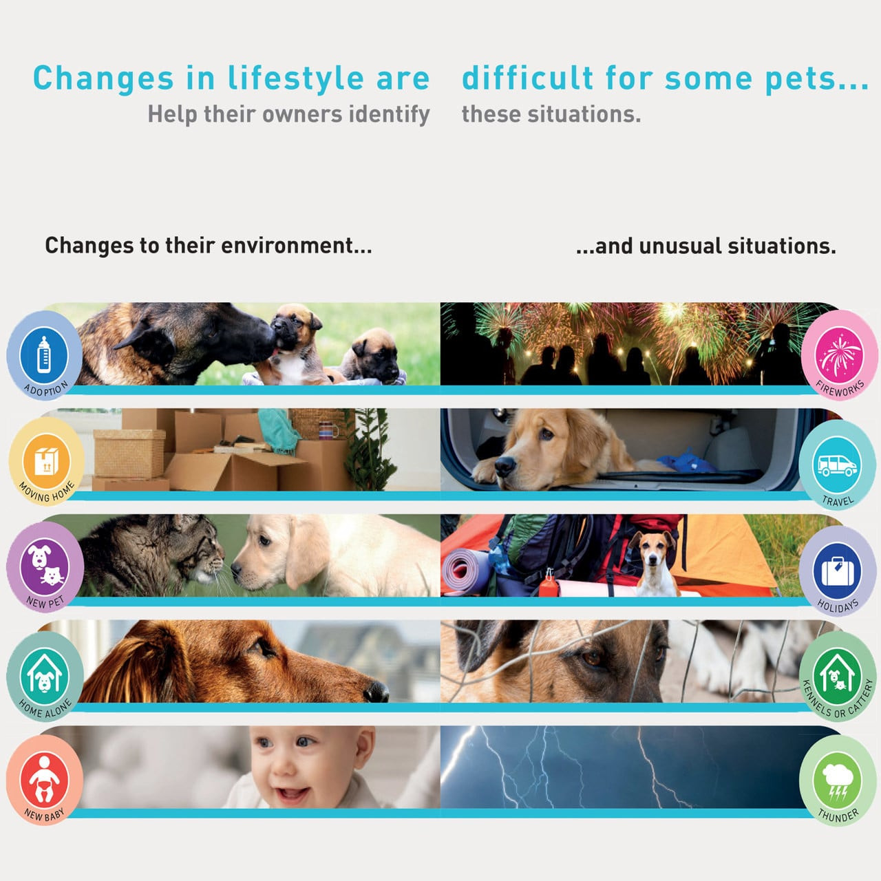 Zylkene 75mg supplement for dogs and cats, 30 capsules for stress relief in pets.