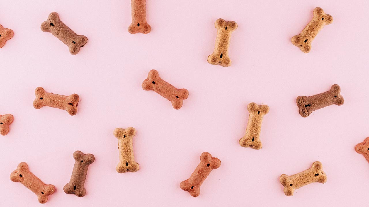 ​Choosing the Right Dog Treats: A Guide to Healthy Rewards 