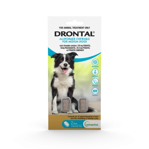 Drontal Allwormer Chews for Dogs up to 10 kg - 2 Pack