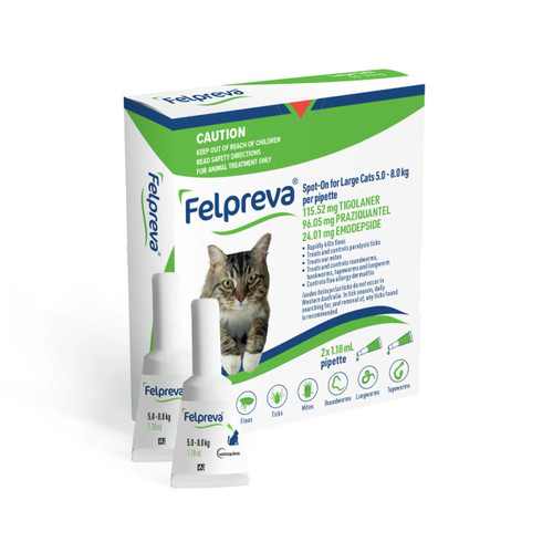 Felpreva Spot-On for Large Cats 5-8kg, 2-pack. Effective flea and tick treatment for large cats.