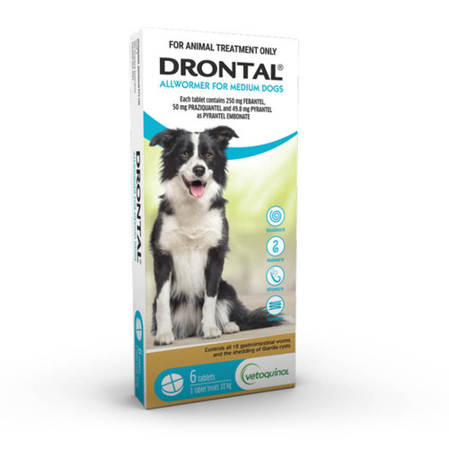 Drontal Allwormer Tablets for Medium Dogs up to 10 kg - 6 Pack, effective worm treatment for pets.