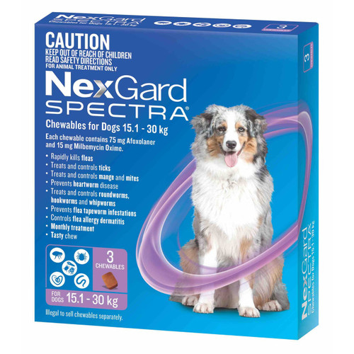 NexGard Spectra Chewables for Large Dogs 15.1-30kg – Purple box with dog image, treats fleas and ticks.
