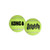 KONG AirDog Squeaker Balls 2 Pack Large KONG AirDog Squeaker Balls 2 Pack Large
