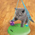KONG Active Sway n Play Cat Toy - Image 2 of 5