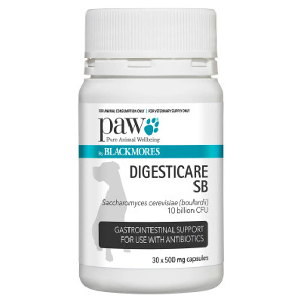 PAW by Blackmores Digesticare SB - 500mg Capsules