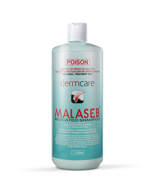 Malaseb Medicated Shampoo For Dogs & Cats 1L