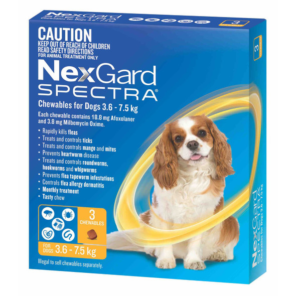NexGard Spectra chewables for small dogs (3.6-7.5kg) - yellow packaging with a Cavalier King Charles Spaniel image.