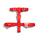 Top view of Zee.Dog Neopro Red H-Harness