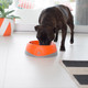 OH Bowl by LickiMat - Oral Health Food Bowl for Dogs: Orange - Large