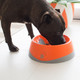 OH Bowl by LickiMat - Oral Health Food Bowl for Dogs: Orange - Large