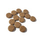 Natural Animal Solutions Calm Tablets - 60 pack for pet anxiety relief and relaxation. Suitable for dogs and cats.